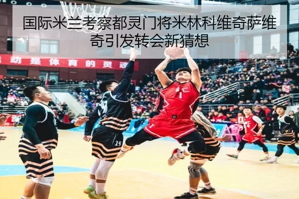国际米兰考察都灵门将米林科维奇萨维奇引发转会新猜想